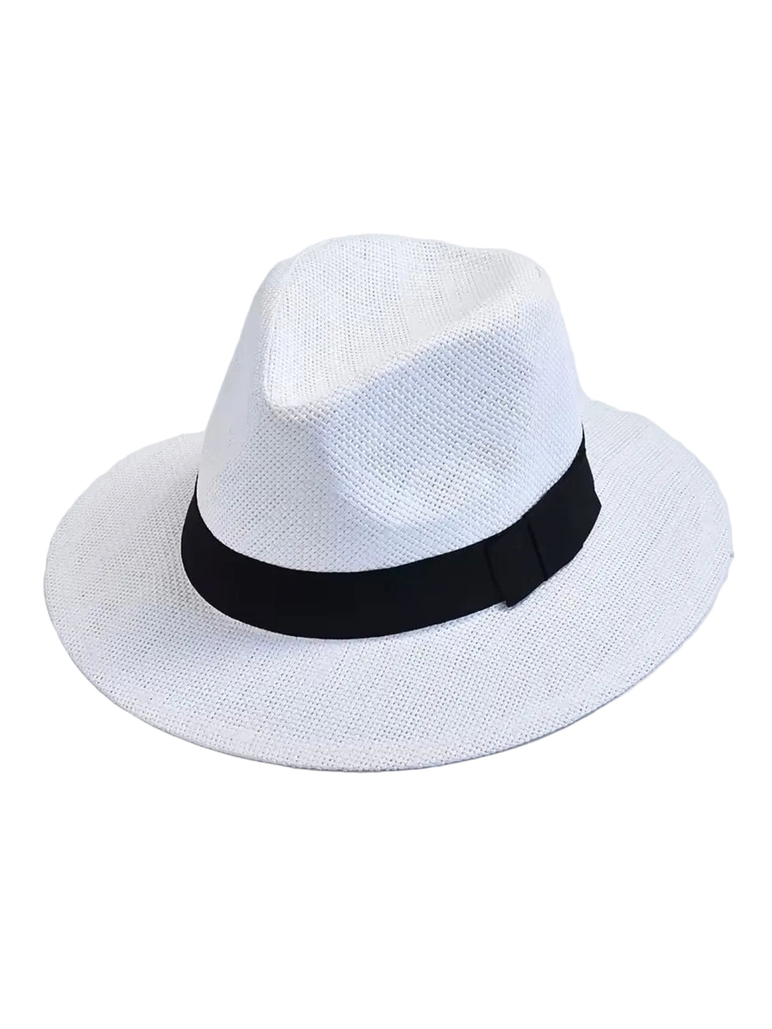 Men’s fedora hat