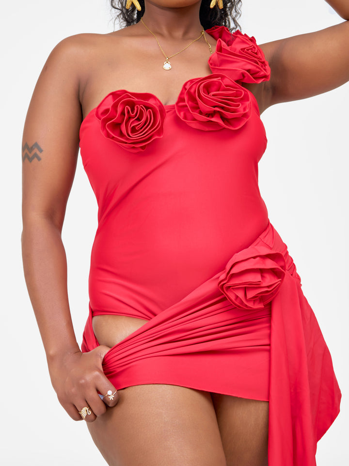 Rose floral one piece with skirt