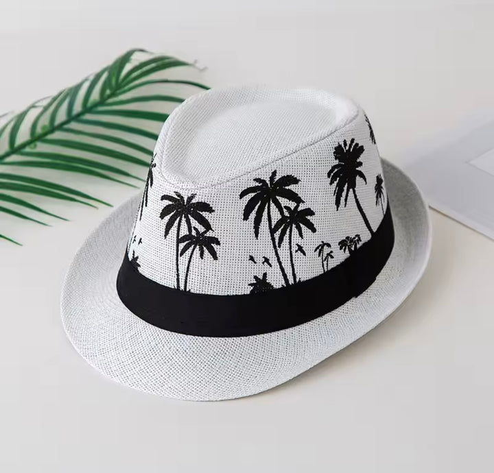 Mens’ fedora hats