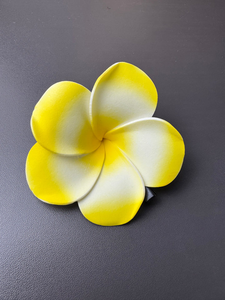 Hawaian flower hair clips