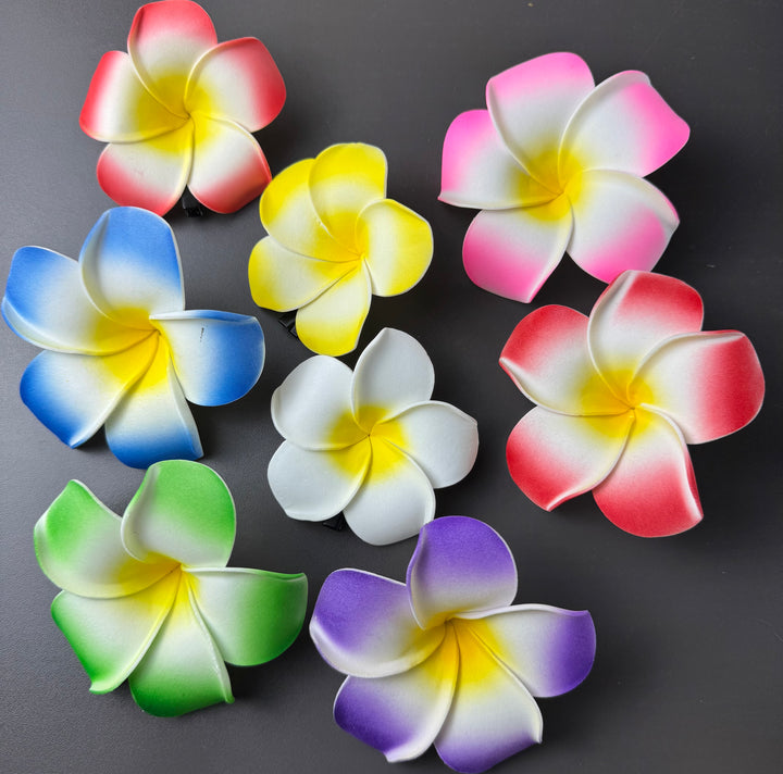Hawaian flower hair clips